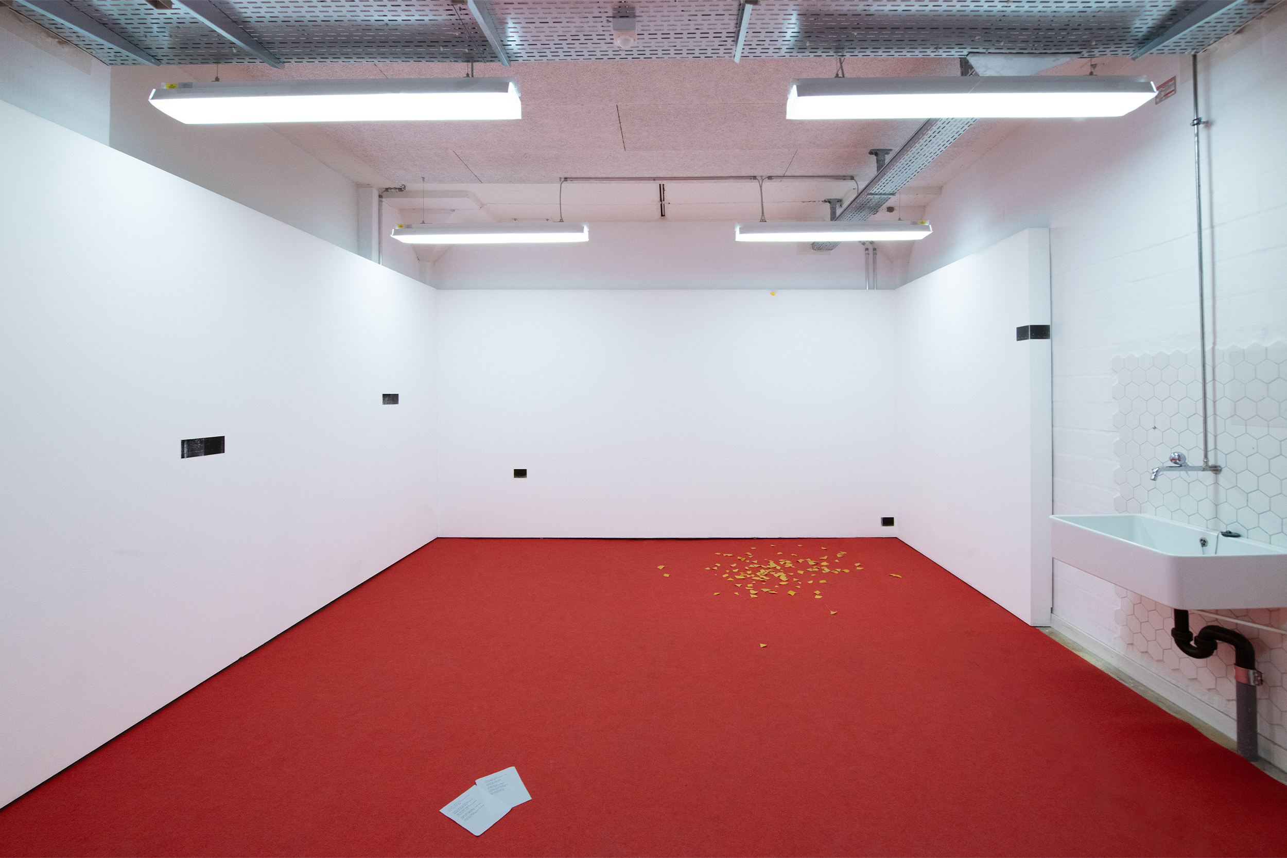 installation view